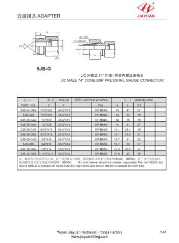 Raccords droits de jauge BSP mâle JIC