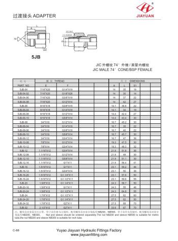 JIC Mâle à BSP Femme Hétéro